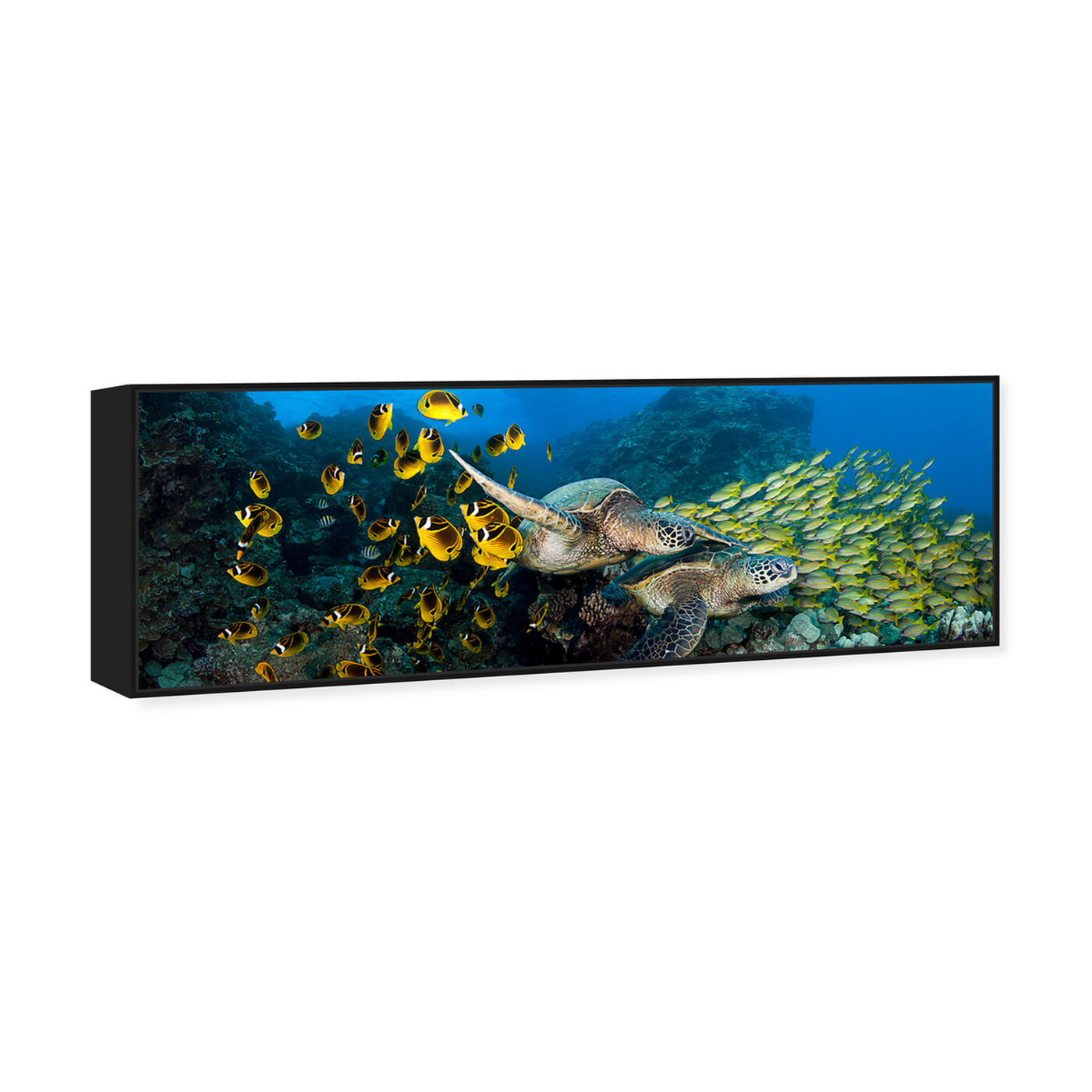 Angled view of School of Fish and Turtle by David Fleetham featuring nautical and coastal and marine life art.