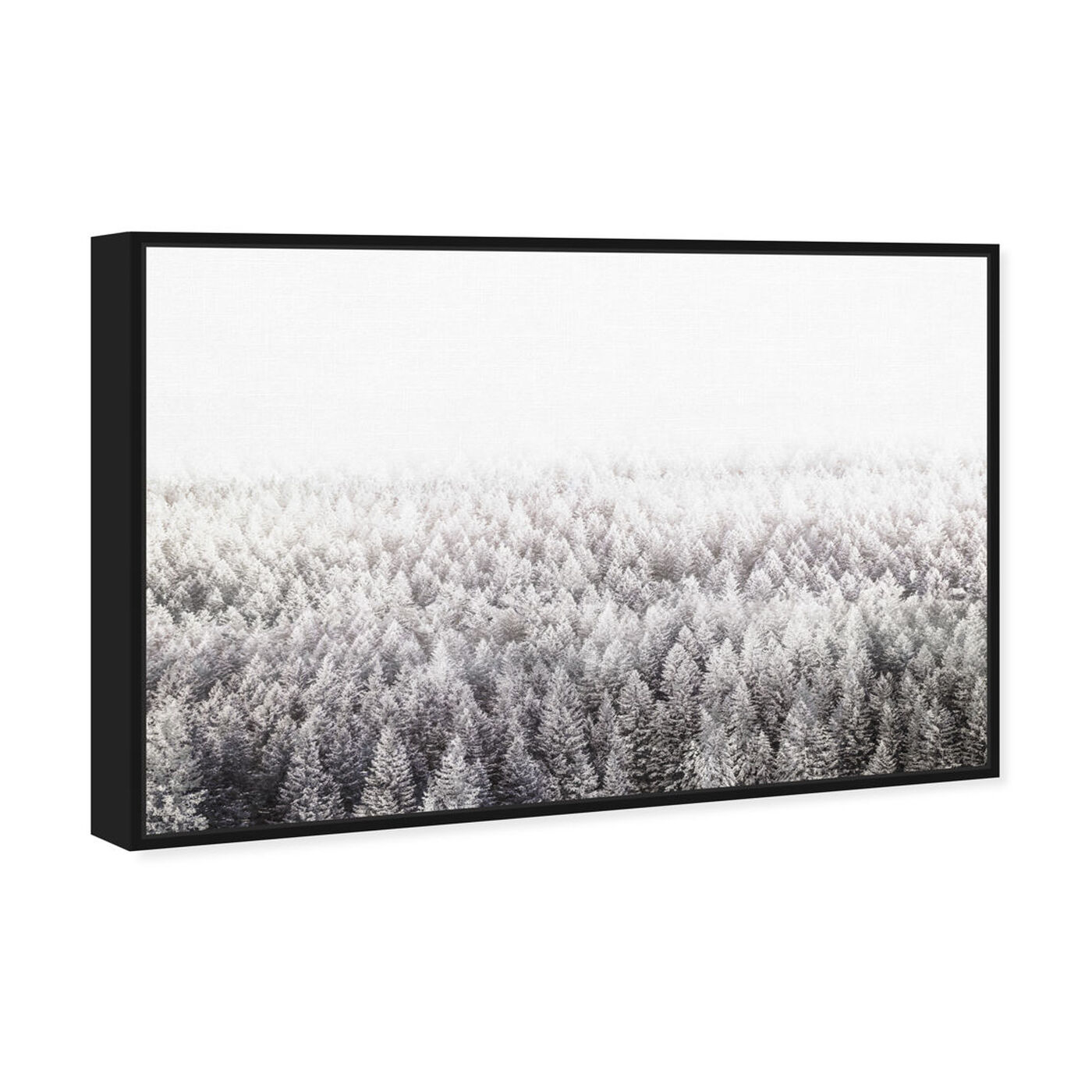 Pine Forest Gray | Nature and Landscape Wall Art by Oliver Gal