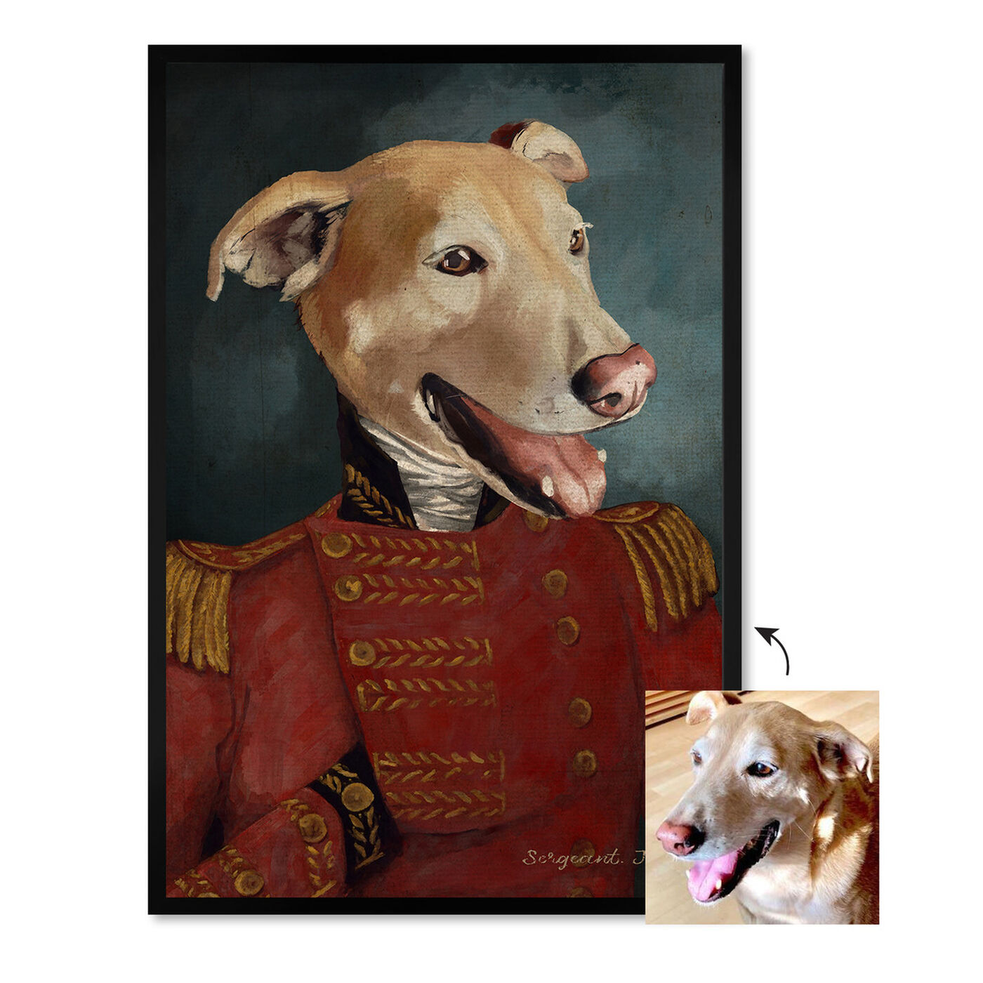 Front view of Dapper Sergeant featuring animals and dogs and puppies art.