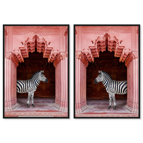 Zebras Apartment is Coral Pink Set