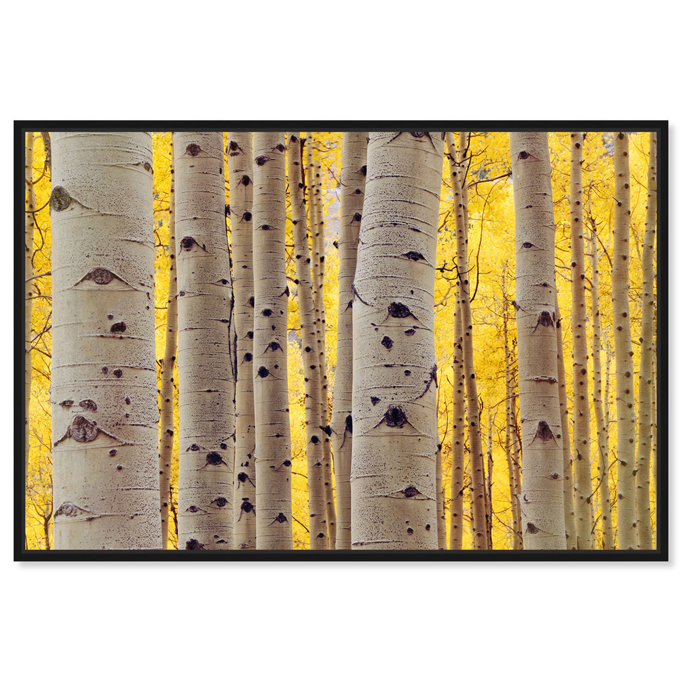 Front view of Aspen Yellow featuring floral and botanical and trees art.