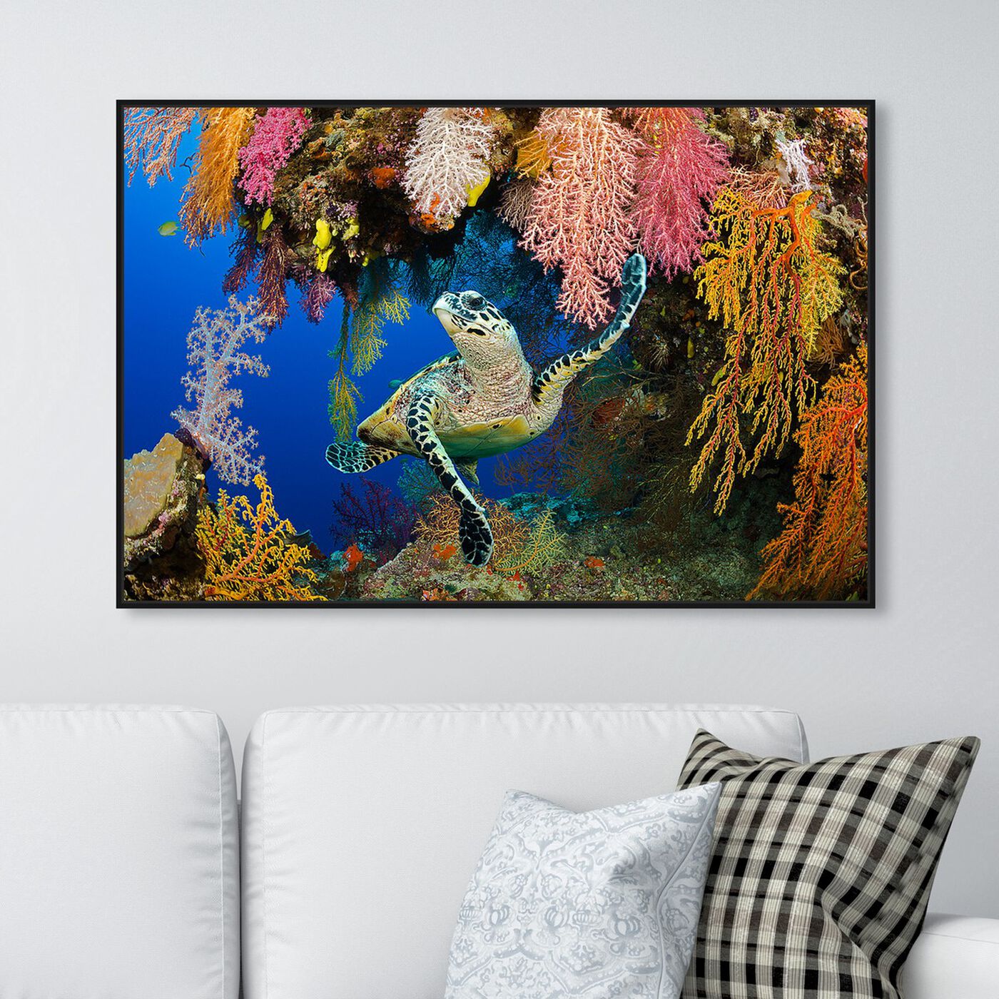 Hanging view of Hawksbill Turtle Fiji by David Fleetham featuring nautical and coastal and marine life art.