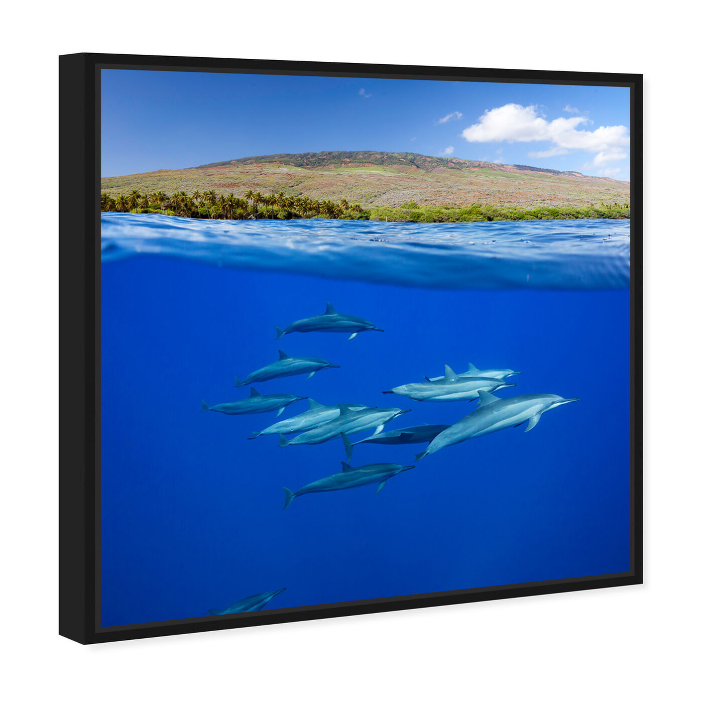 Angled view of Split View Dolphins and Island by David Fleetham featuring animals and sea animals art.