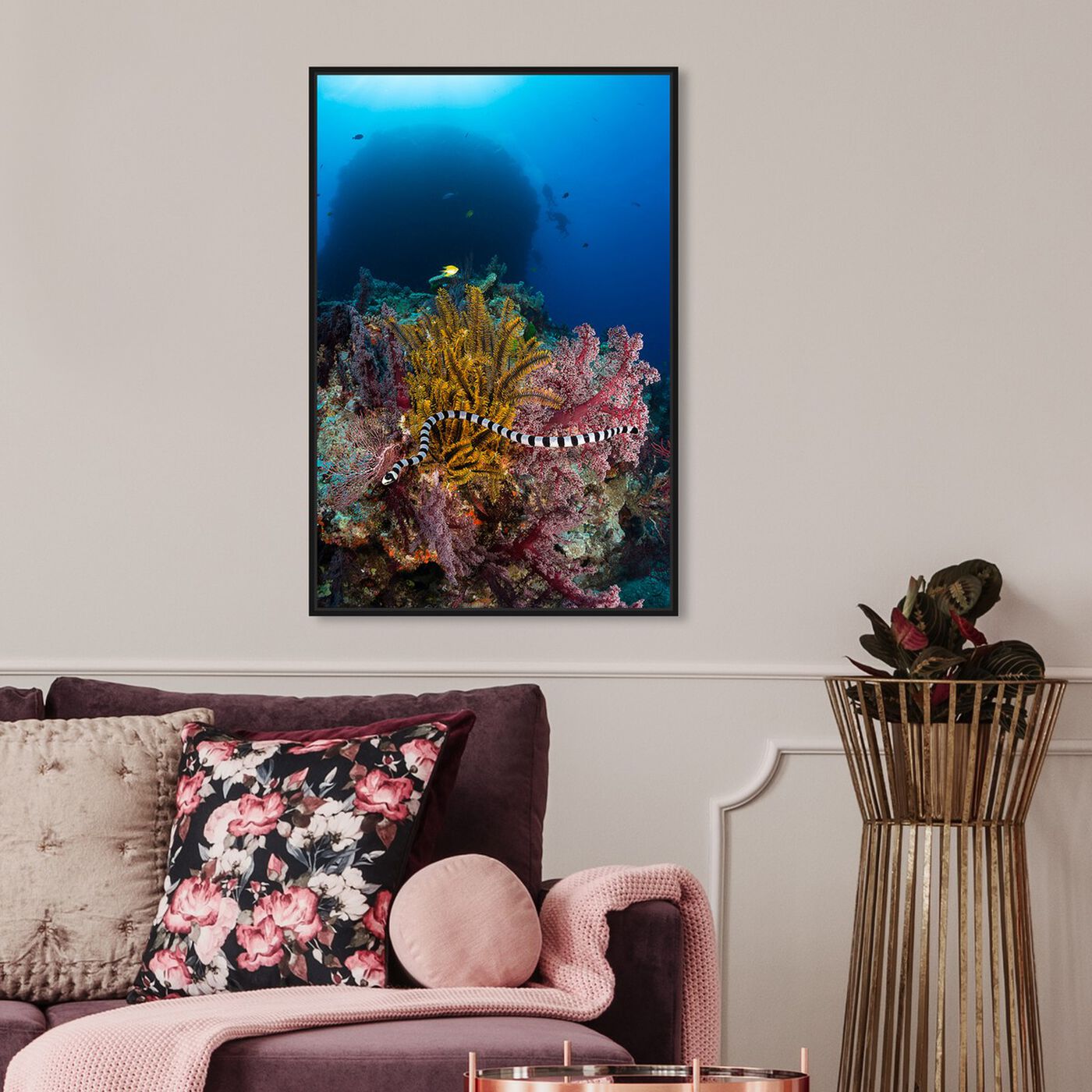 Hanging view of Sea Krait by David Fleetham featuring nautical and coastal and marine life art.
