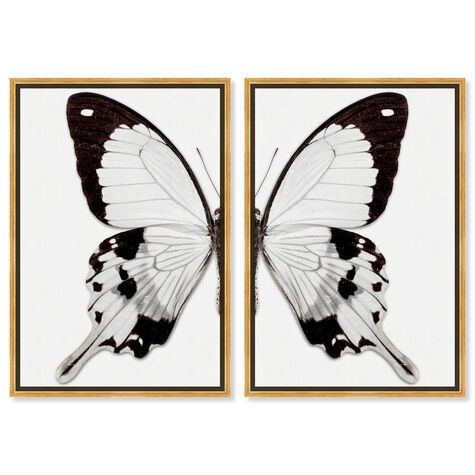 Monochrome Butterfly I and II Wings 2 Piece Set - Displayed on a Floating Frame