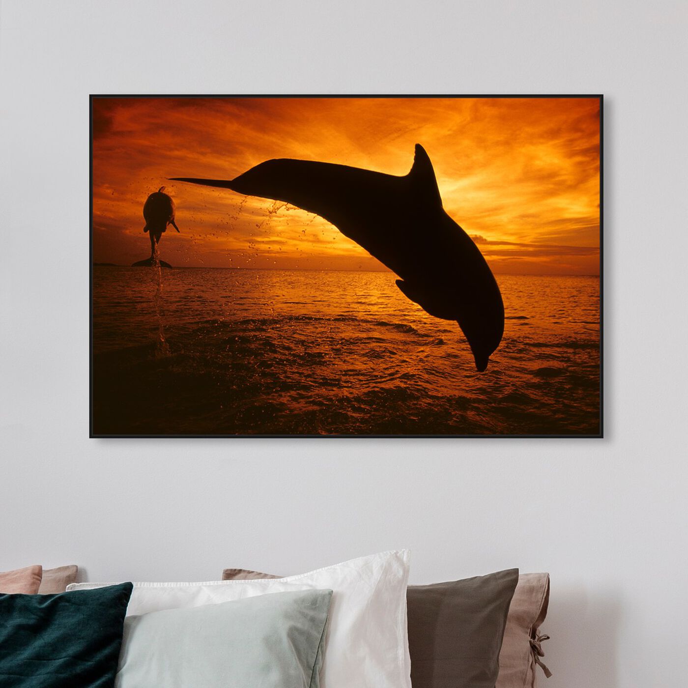 Hanging view of Bottlenose Dolphin Roatan by David Fleetham featuring nautical and coastal and marine life art.