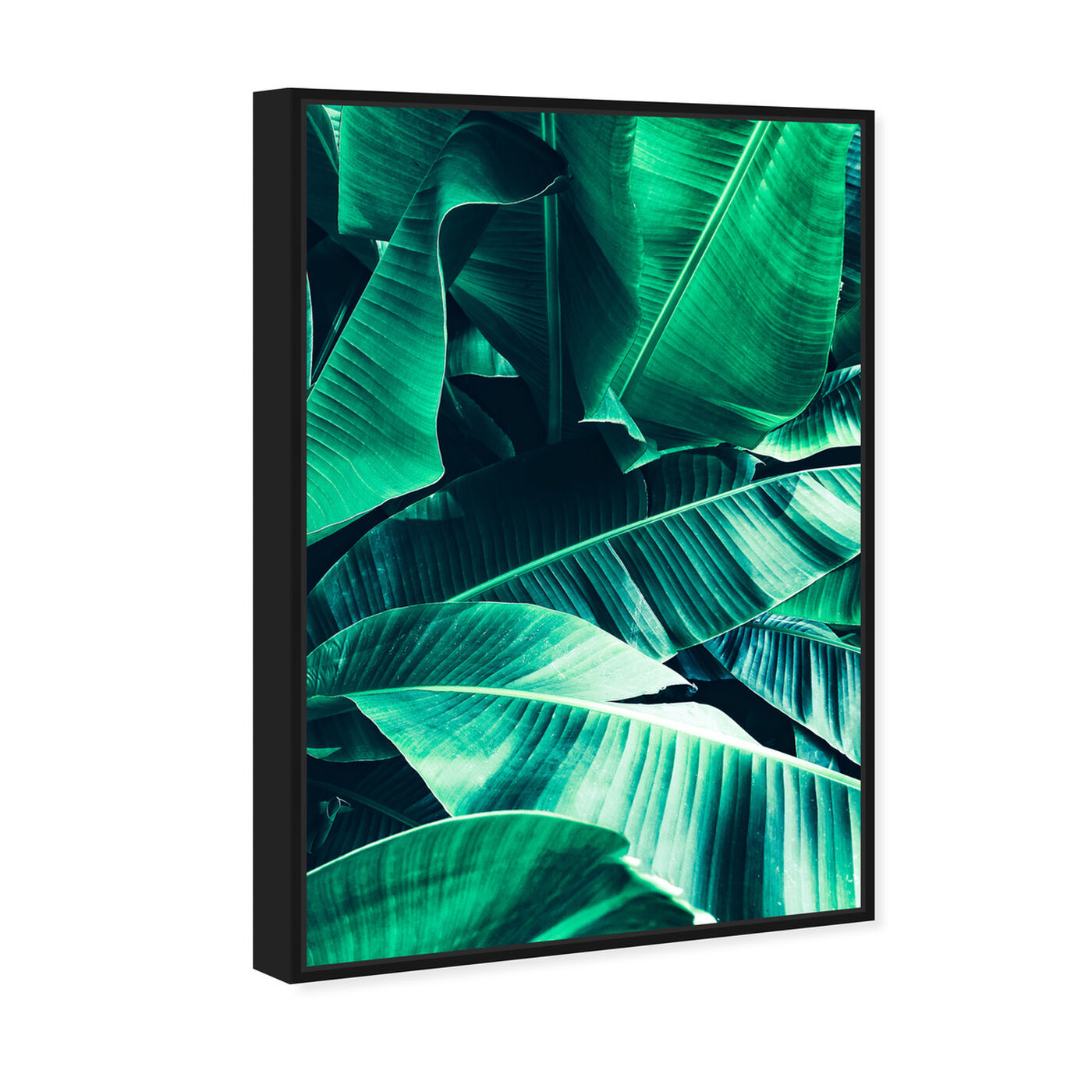 Angled view of Banana Leaf Icon featuring floral and botanical and botanicals art.