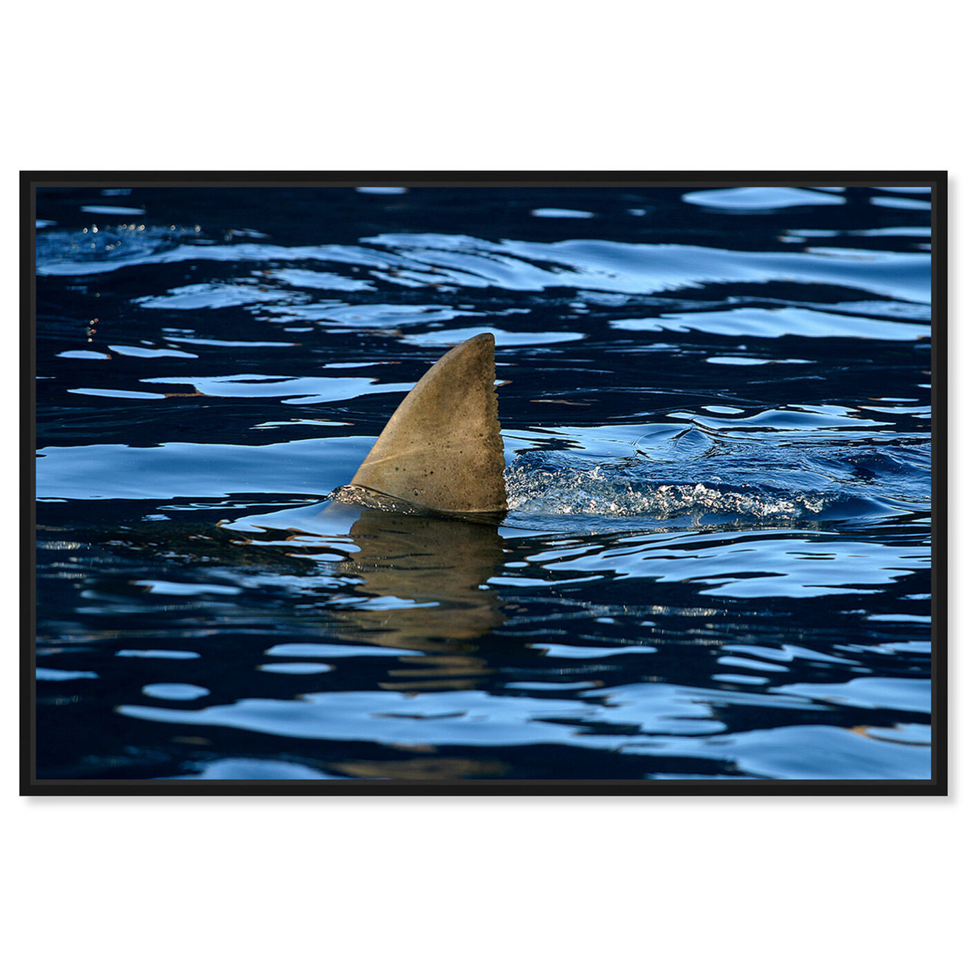 Front view of Great Whiteshark, fin, shark fin, oceanShark Fin by David Fleetham featuring nautical and coastal and marine life art.