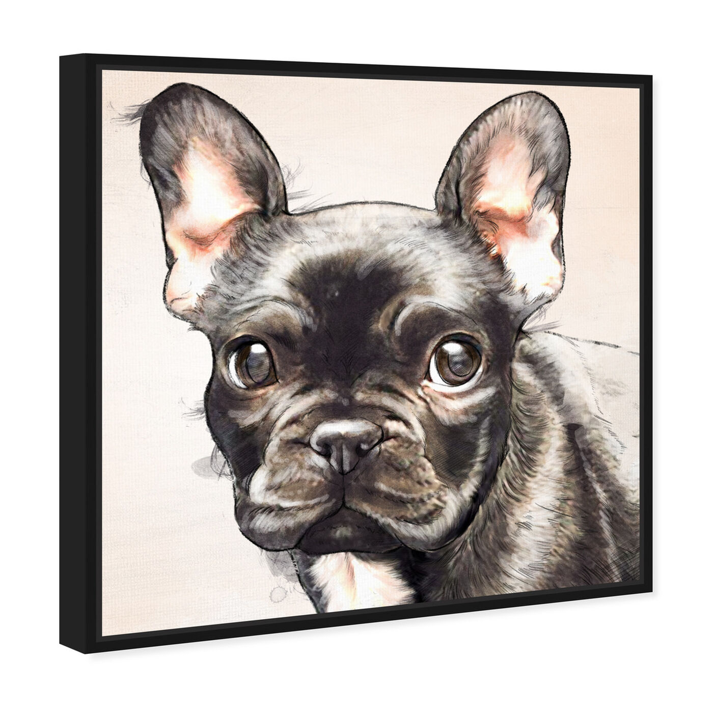 Frenchie Watercolor Black | By Oliver Gal
