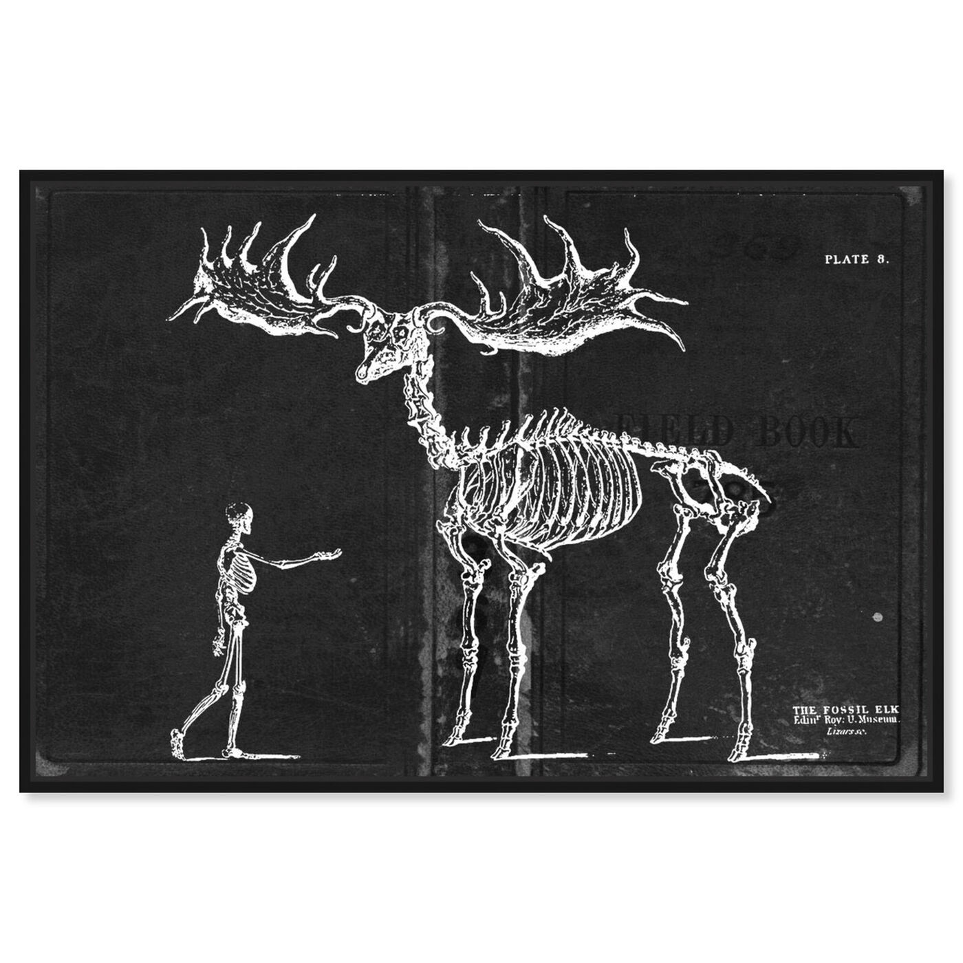 Front view of Fossil Elk 1830 featuring animals and skeletons art.