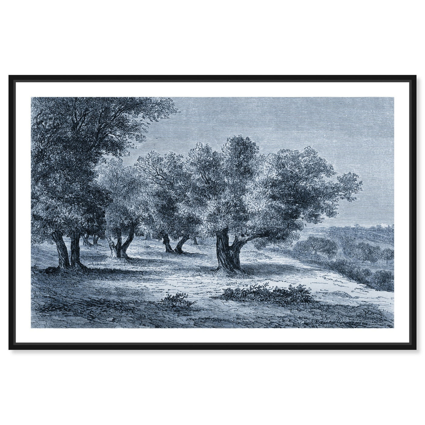 Front view of Olive Grove 1860 Engraving featuring nature and landscape and forest landscapes art.