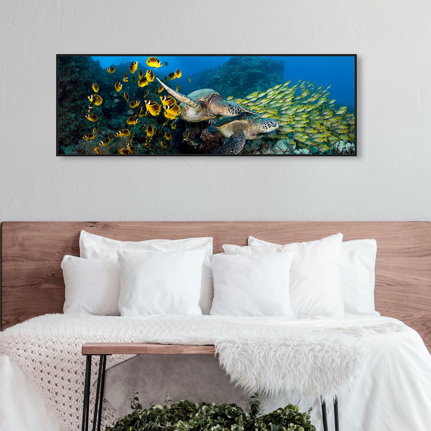 Hanging view of School of Fish and Turtle by David Fleetham featuring nautical and coastal and marine life art.