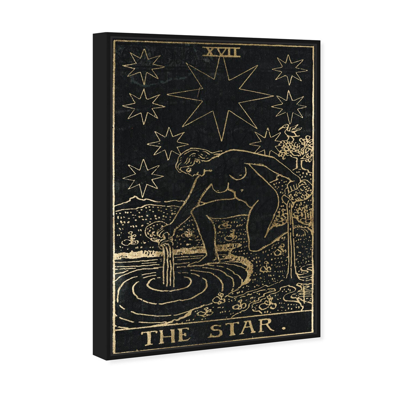 Angled view of The Star Tarot featuring astronomy and space and zodiac art.