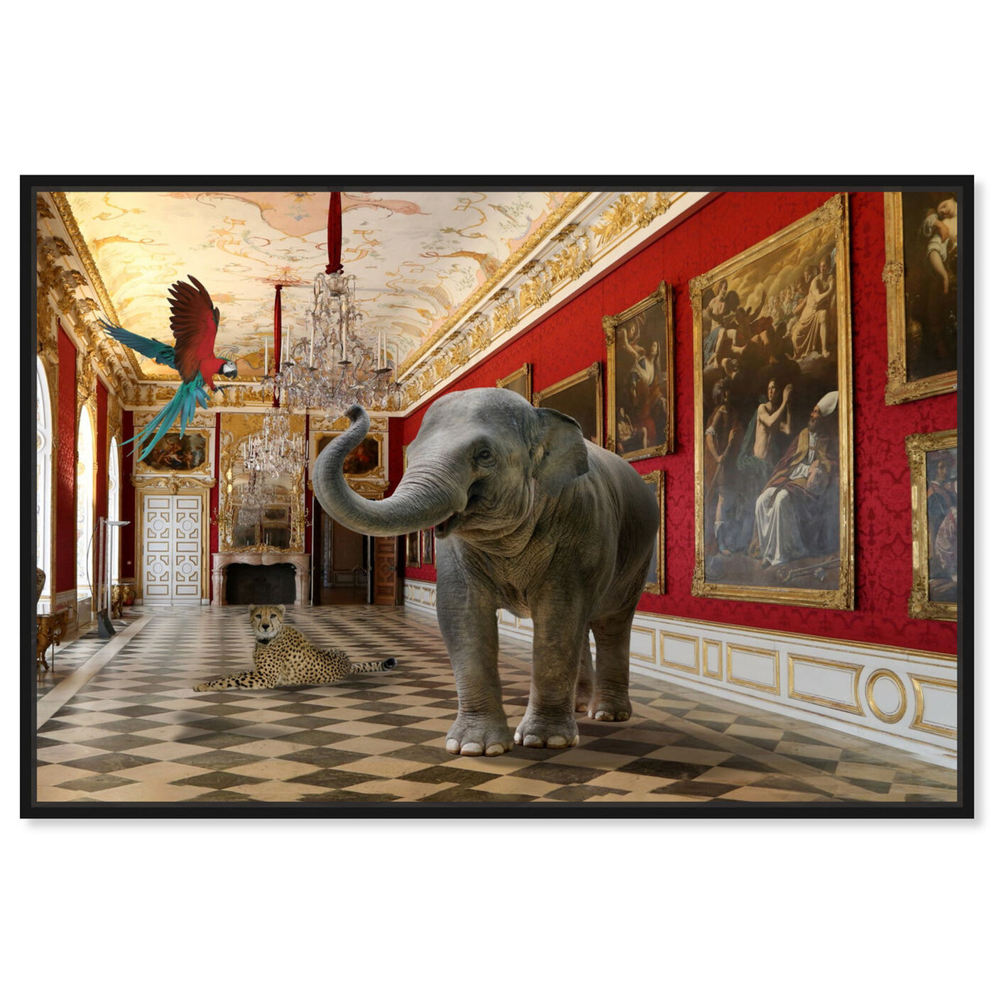 Front view of Delicate as an Elephant can Be featuring animals and zoo and wild animals art.