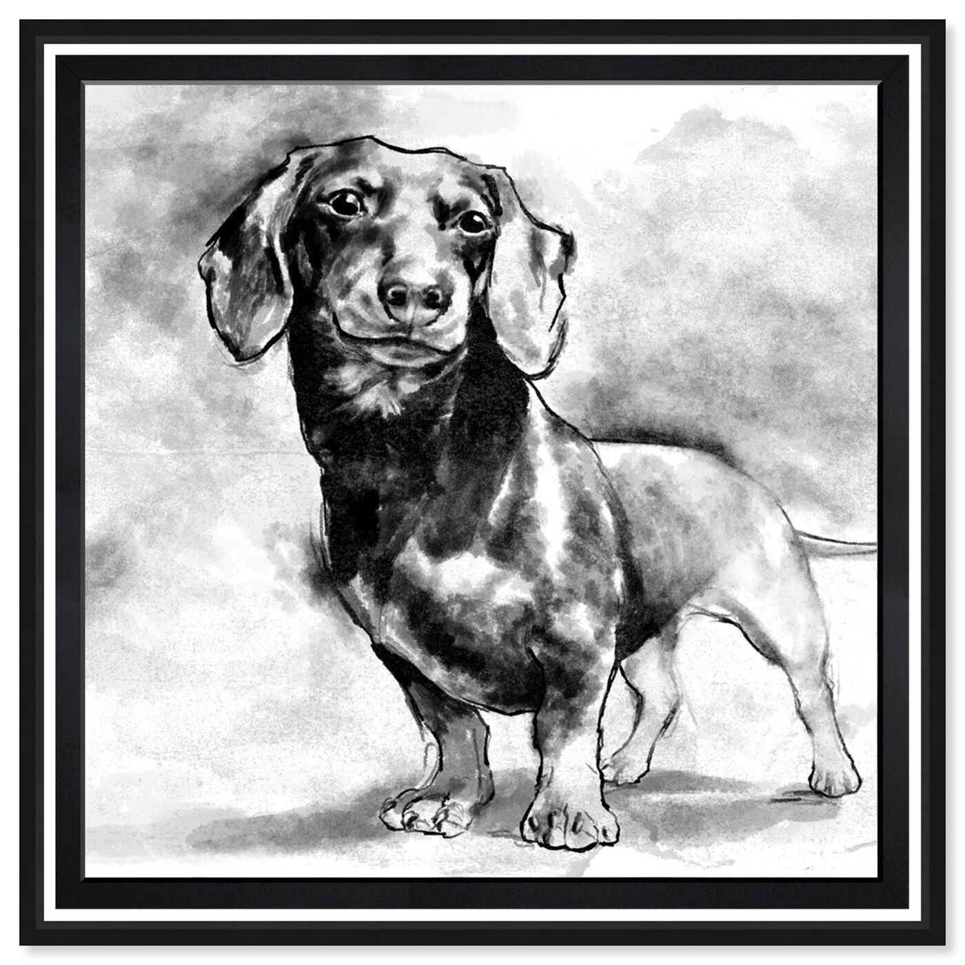 Front view of Dachshund featuring animals and dogs and puppies art.