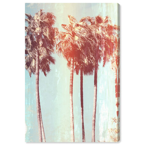 Palm Tree Dream