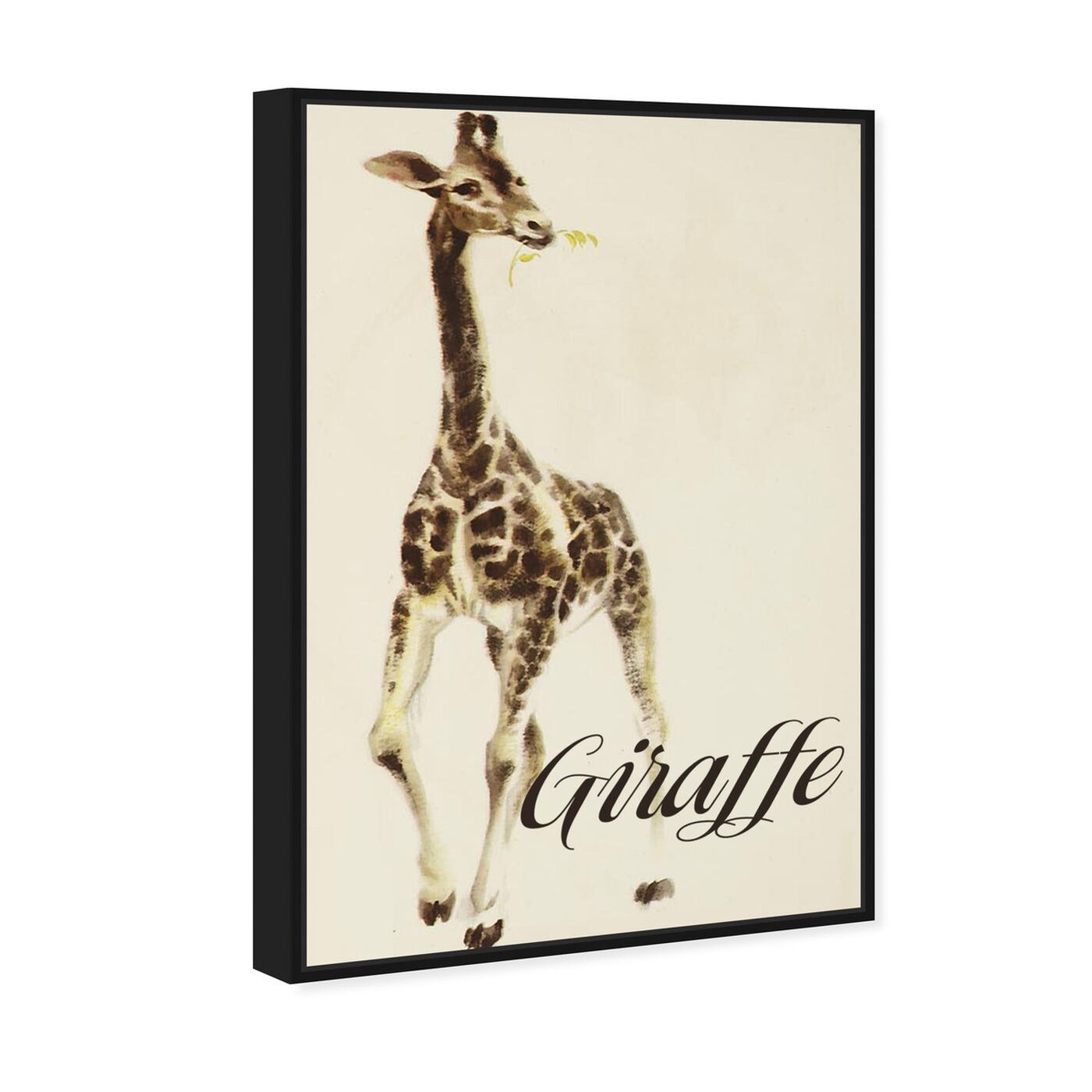 Angled view of Giraffe featuring animals and zoo and wild animals art.