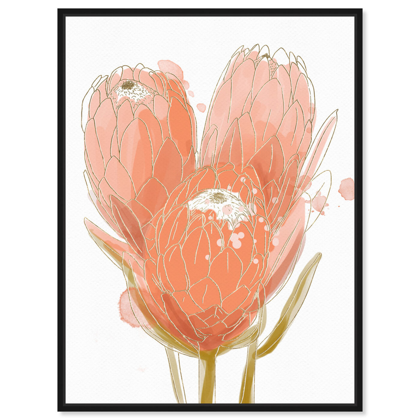 Front view of Protea Watercolor featuring floral and botanical and florals art.