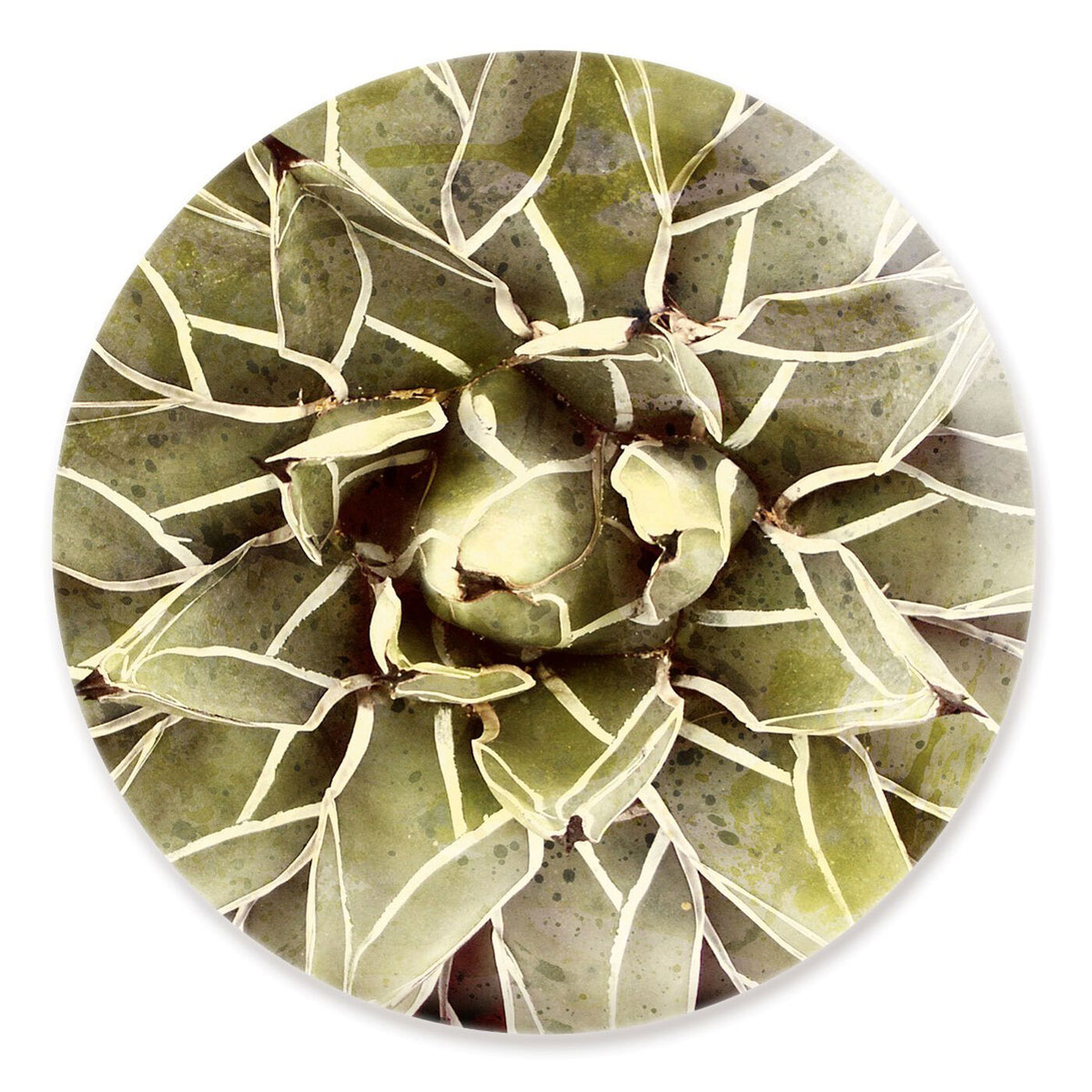 Front view of Cactus Flower Round featuring floral and botanical and botanicals art.