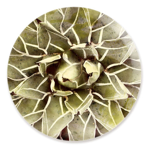 Cactus Flower Round