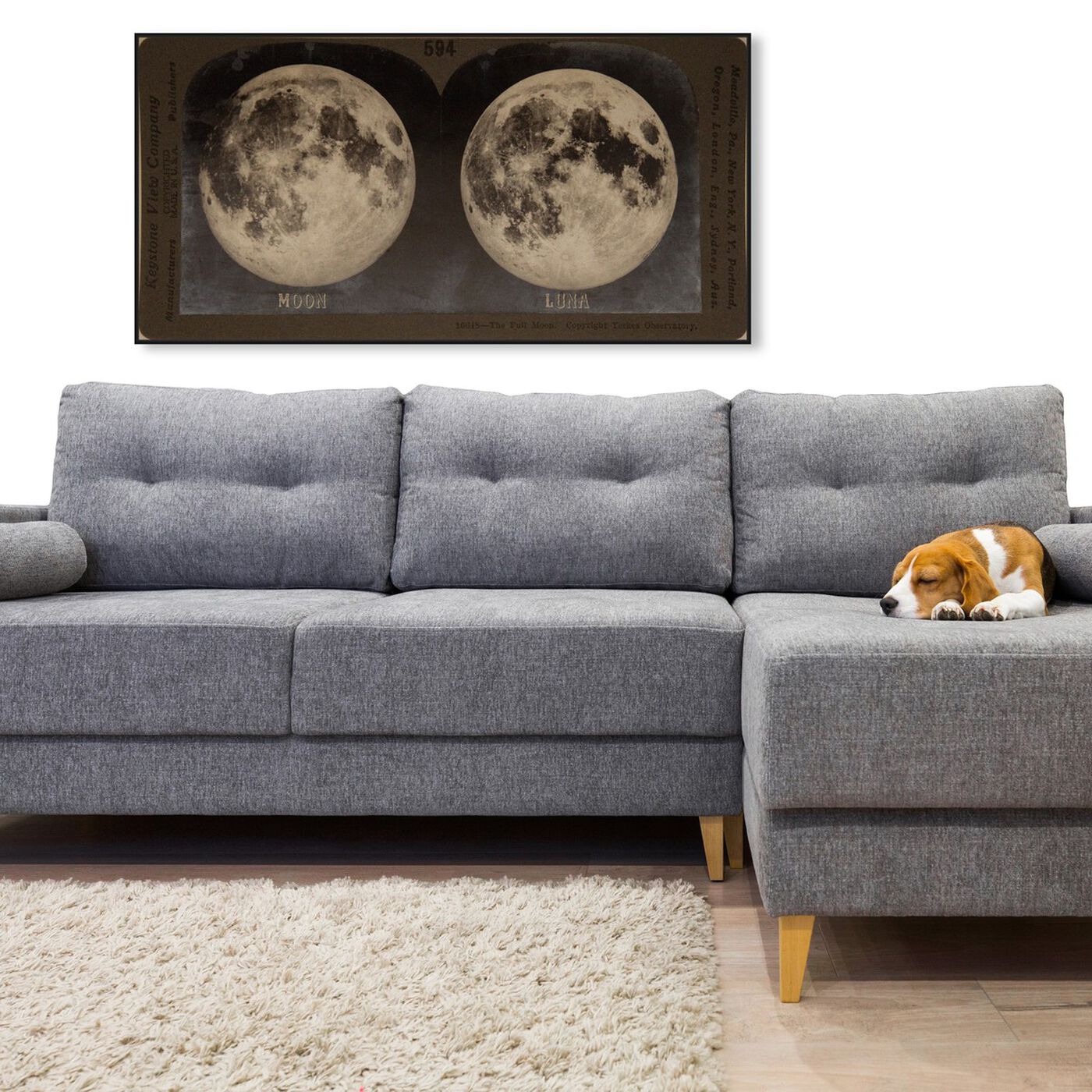 Hanging view of Full Moon featuring astronomy and space and moons art.