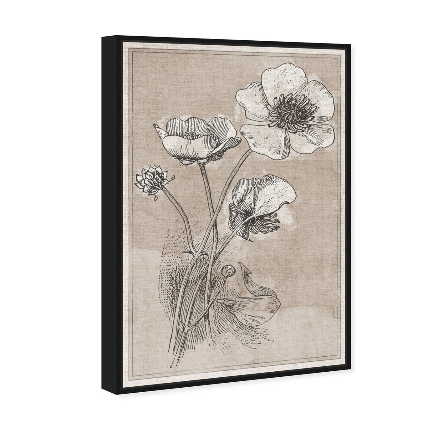Angled view of Poppies on Linen featuring floral and botanical and florals art.