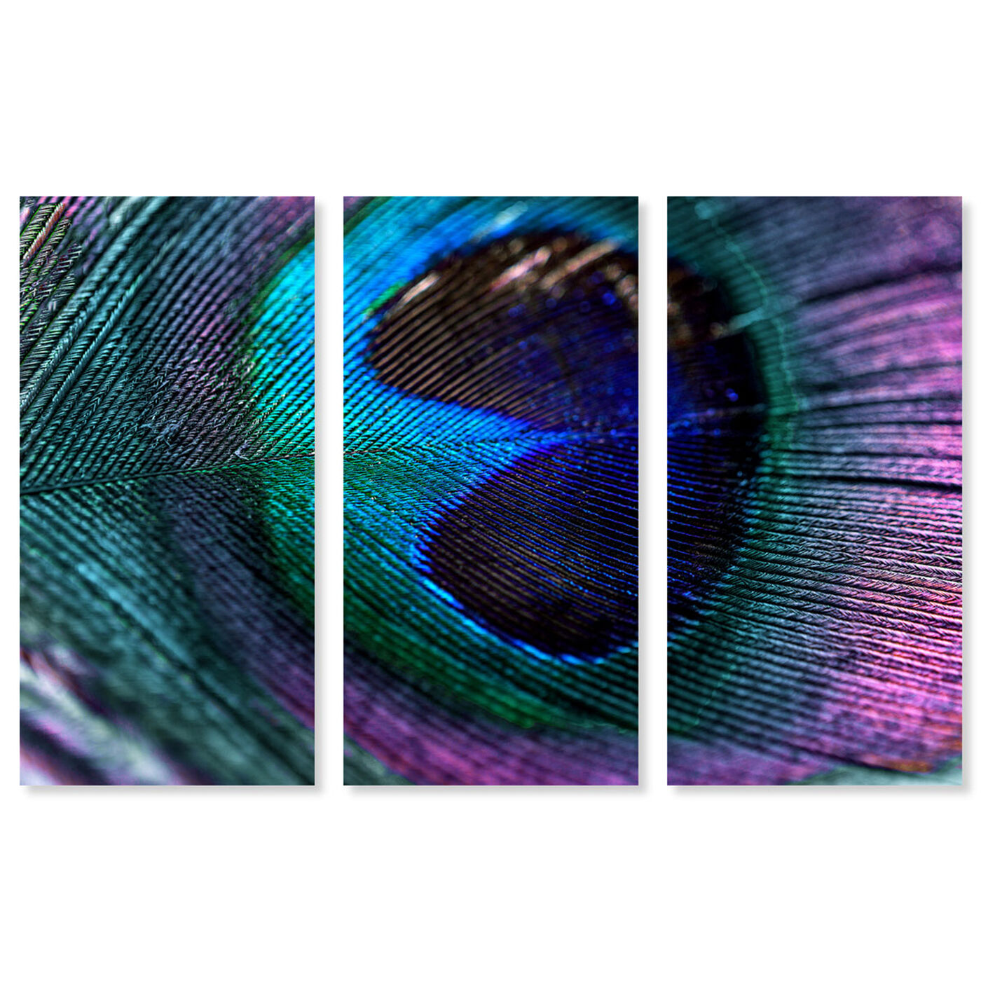Royal Peacock Feather Triptych 51x34x3