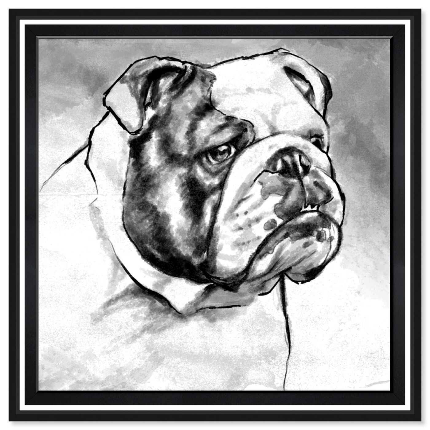 Front view of English Bulldog featuring animals and dogs and puppies art.