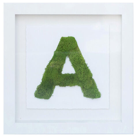 The Letter A Nature