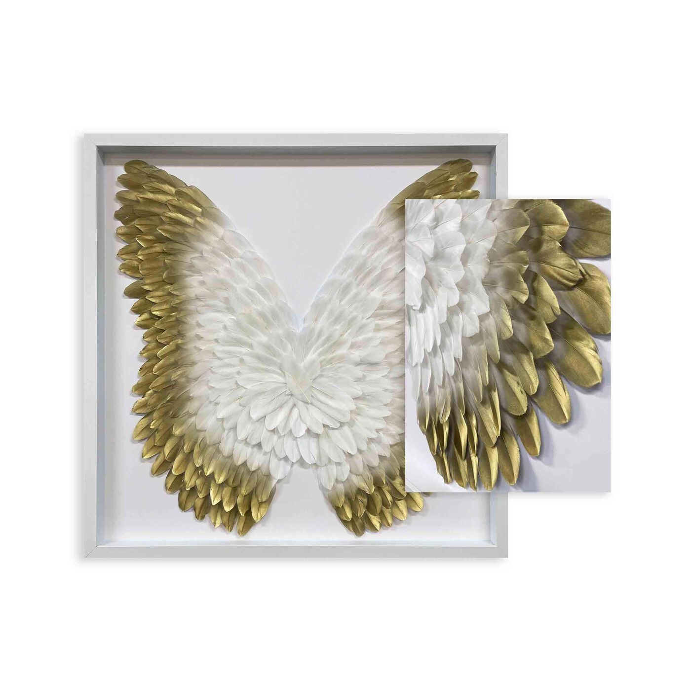 White and Gold Feather Wings