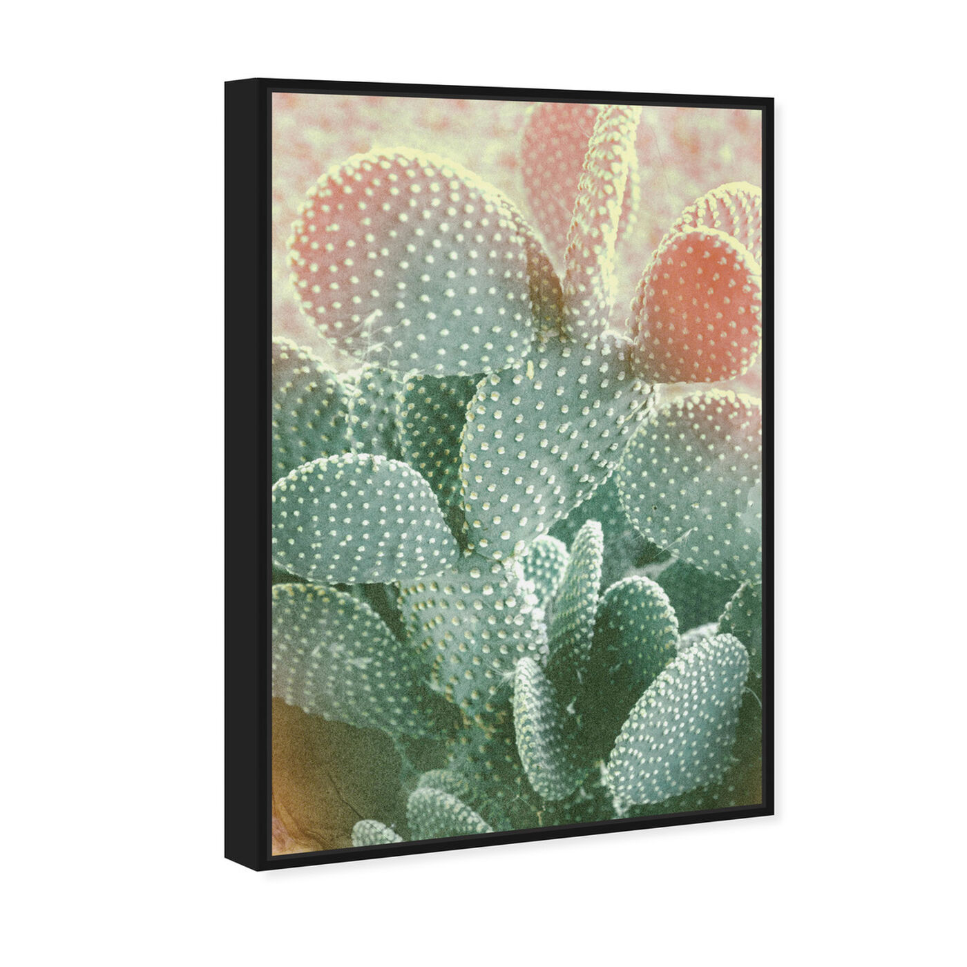 Angled view of Blushing Cactus featuring floral and botanical and botanicals art.