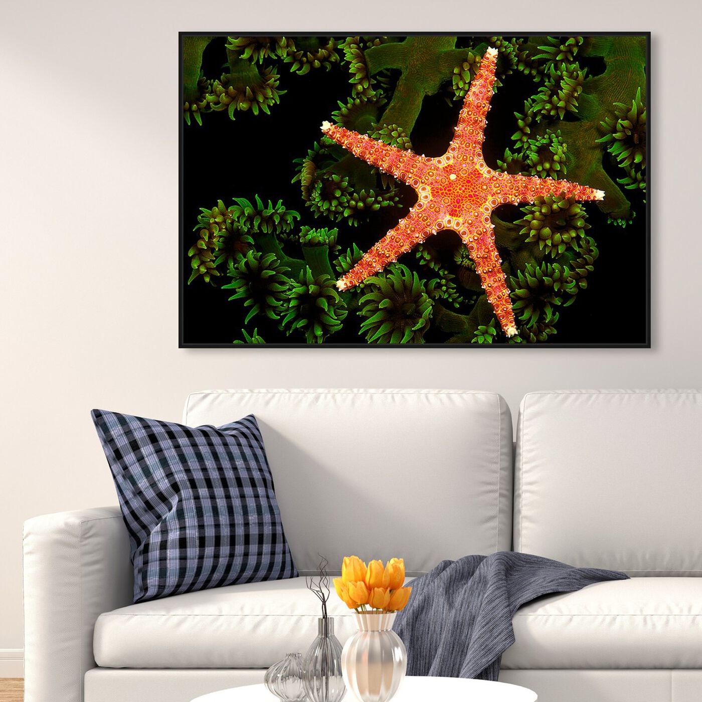 Hanging view of Starfish on Coral by David Fleetham featuring nautical and coastal and marine life art.