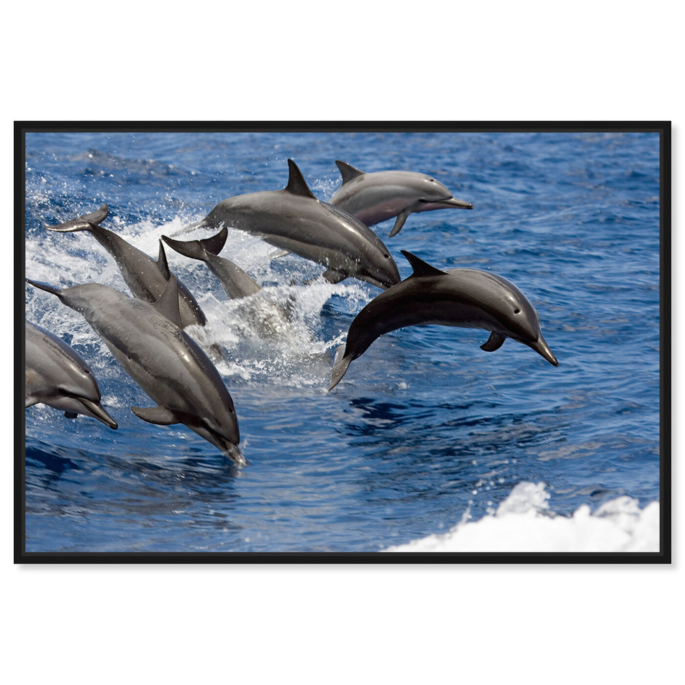 Front view of Spinner Dolphins by David Fleetham featuring nautical and coastal and marine life art.