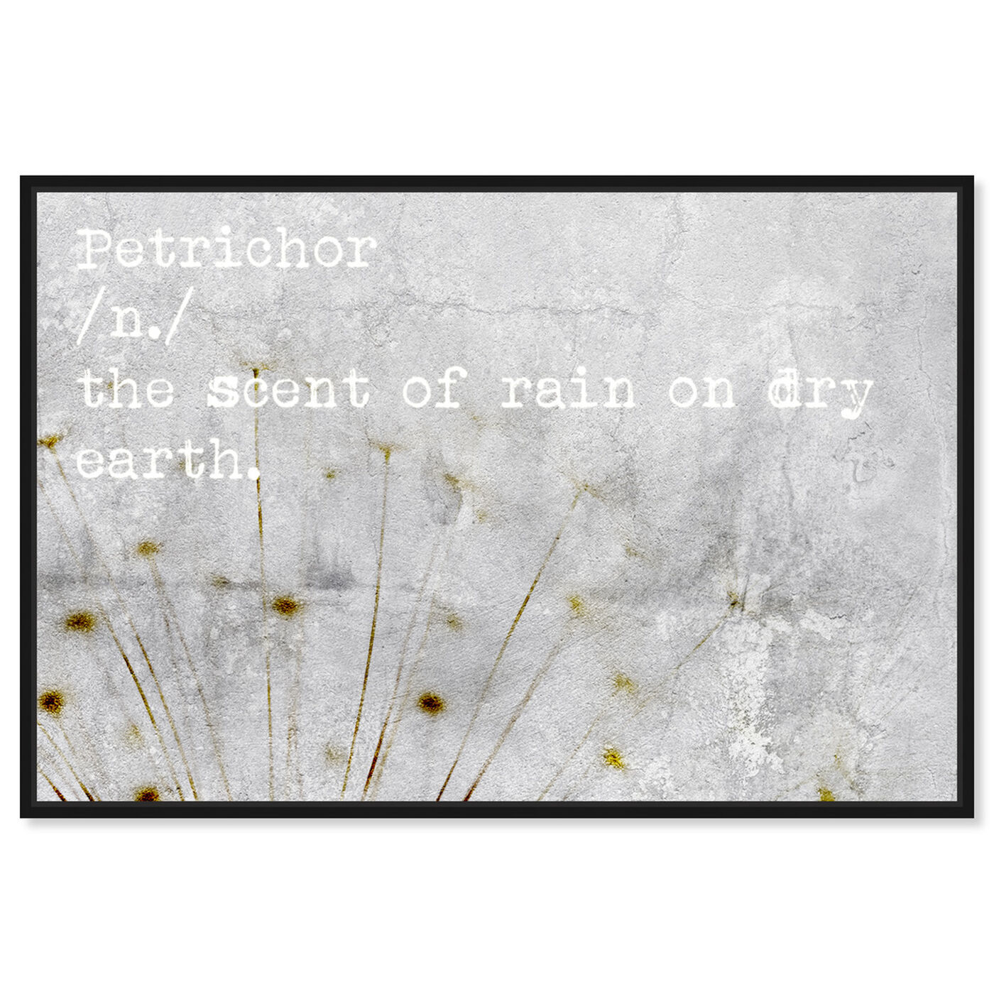 Front view of Petrichor featuring typography and quotes and quotes and sayings art.