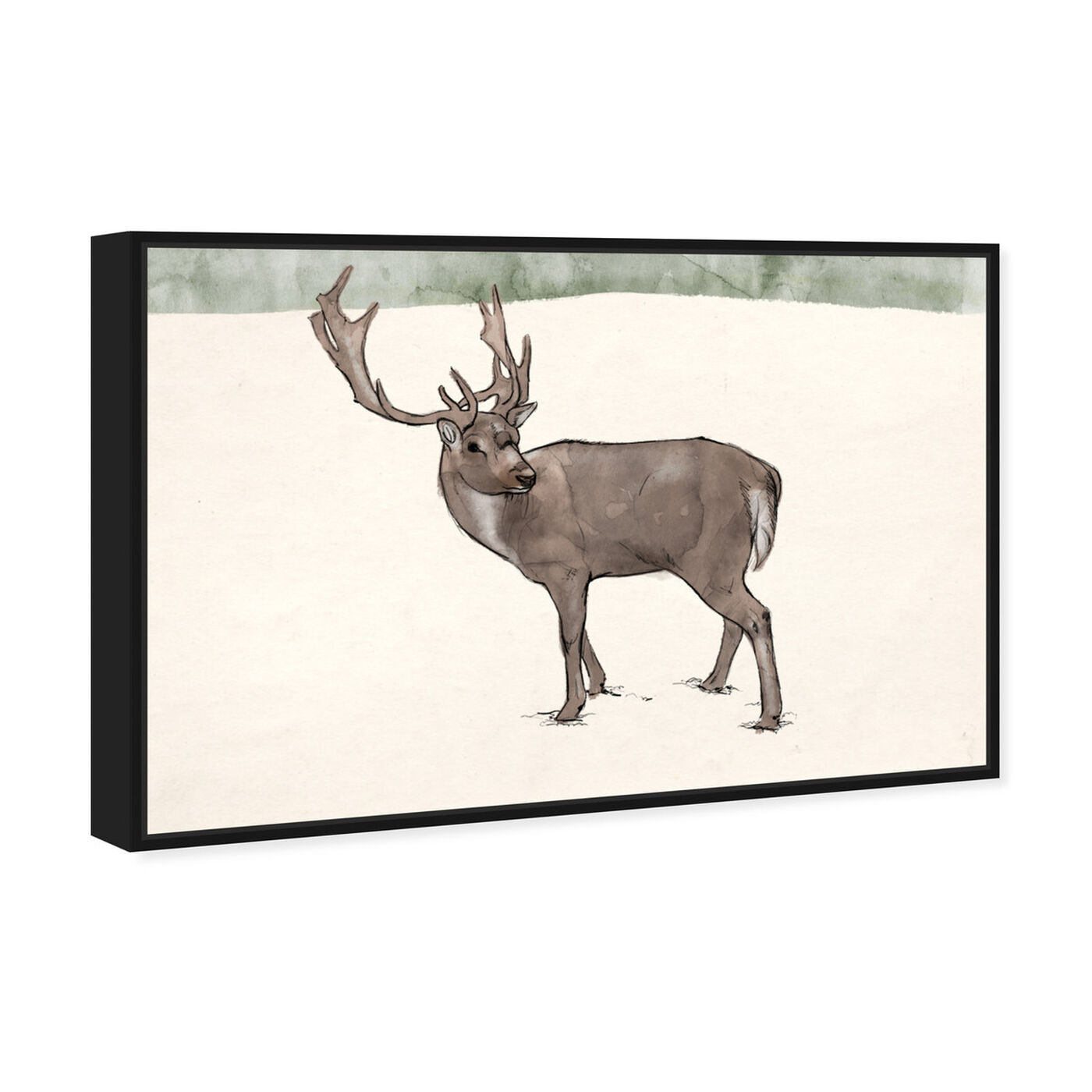 Angled view of Lone Reindeer featuring animals and zoo and wild animals art.