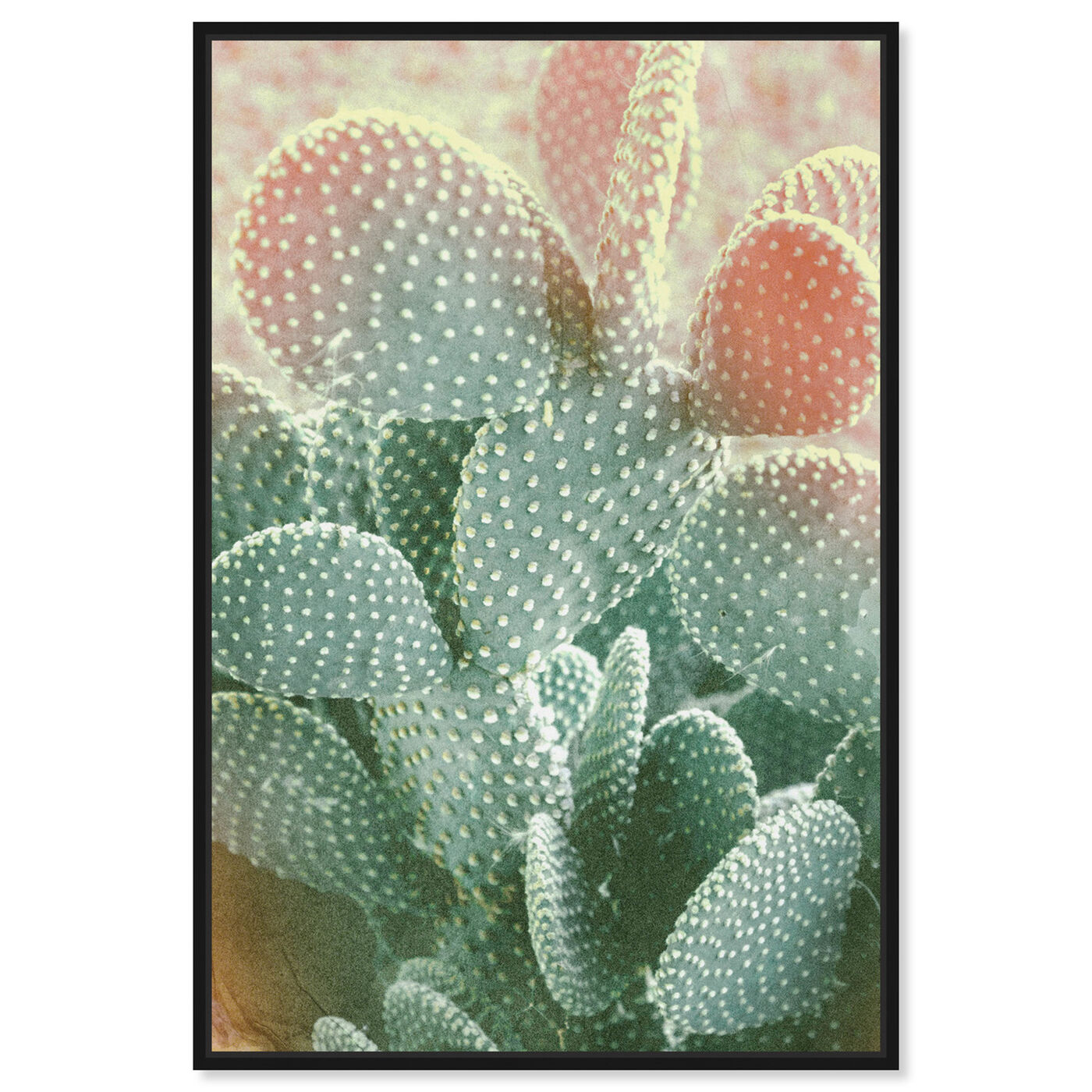 Front view of Blushing Cactus featuring floral and botanical and botanicals art.