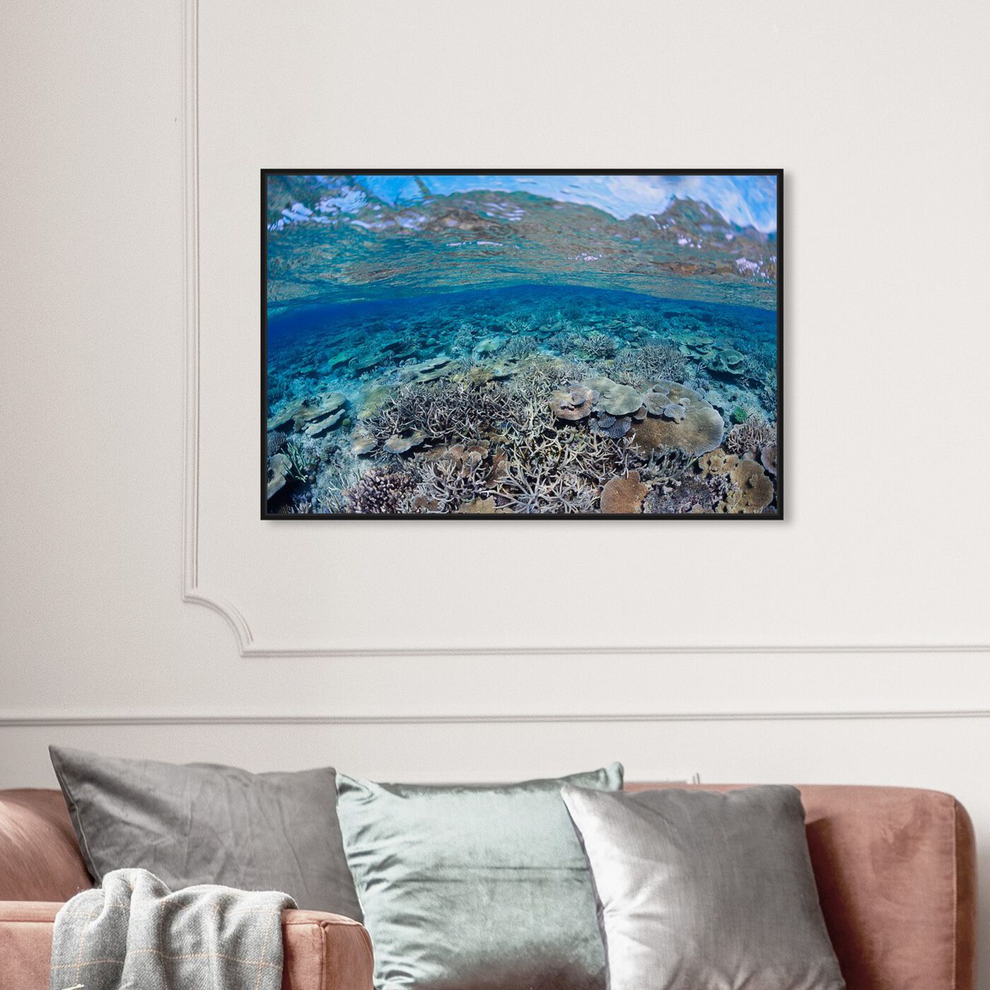 Hanging view of Fijian Coral Scene by David Fleetham featuring nautical and coastal and marine life art.