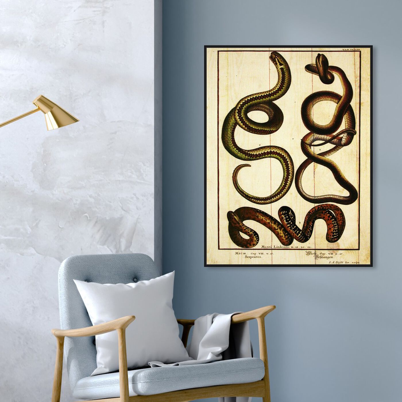 Hanging view of Snakes II featuring animals and zoo and wild animals art.