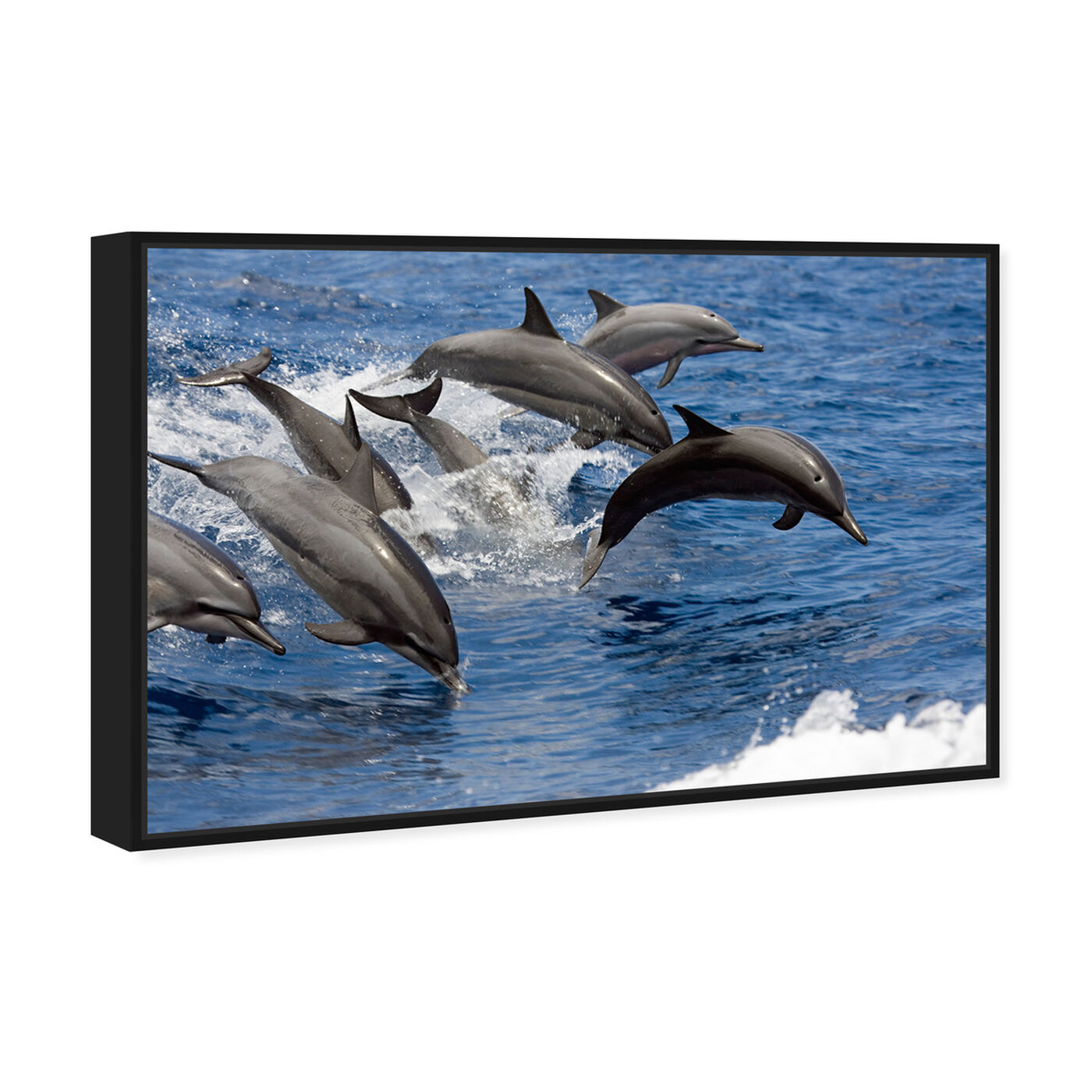 Angled view of Spinner Dolphins by David Fleetham featuring nautical and coastal and marine life art.