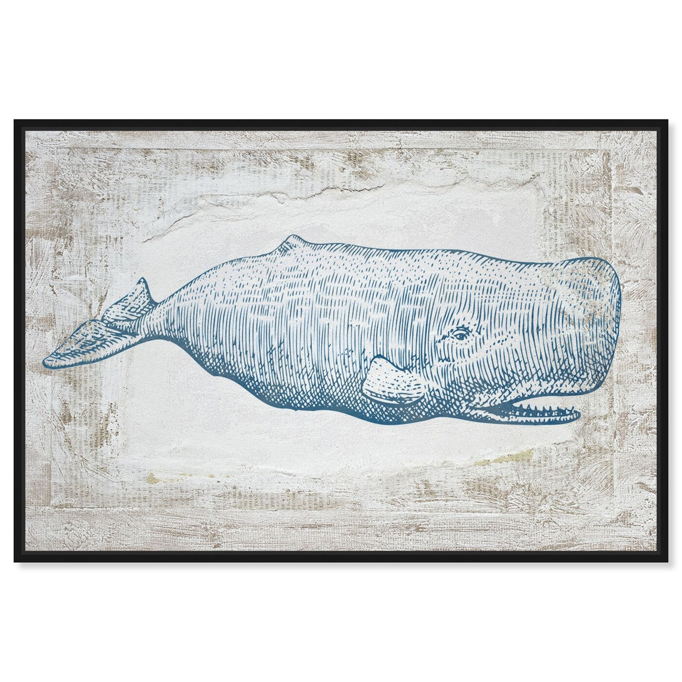 Front view of Blue Whale featuring nautical and coastal and marine life art.