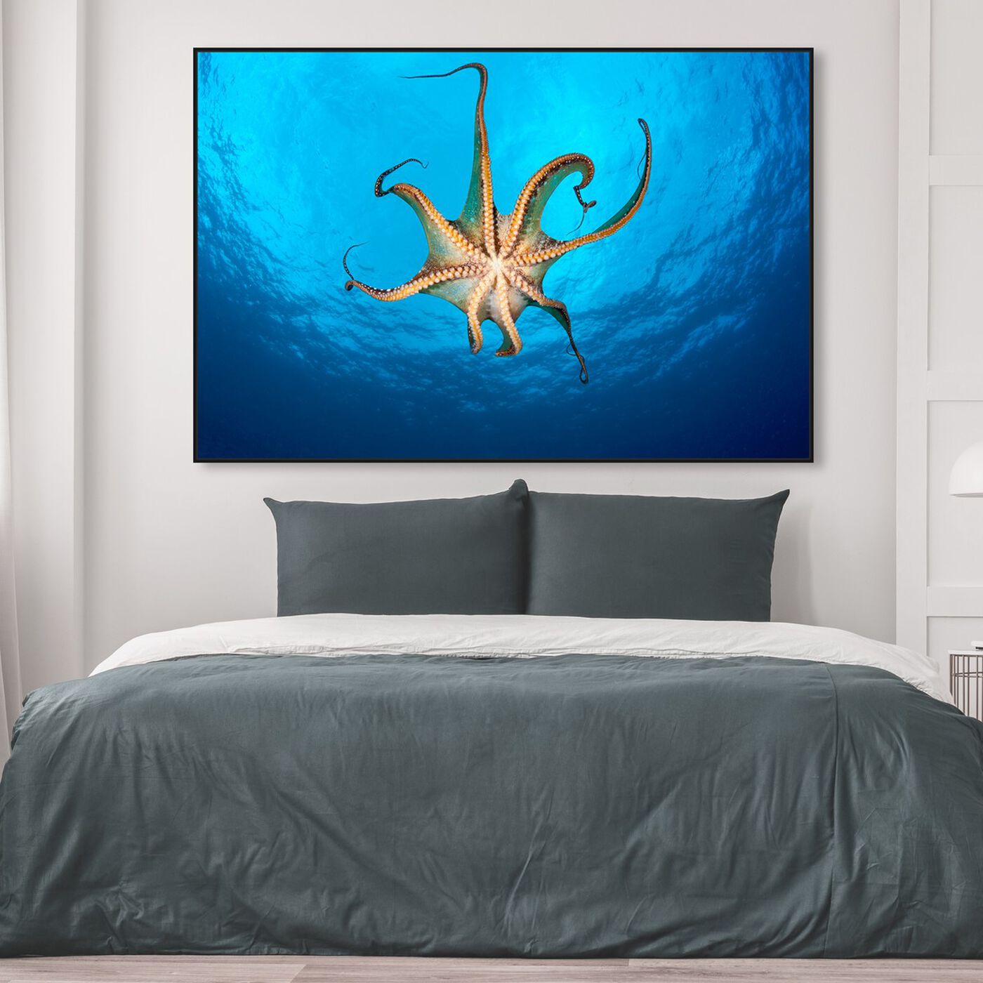 Hanging view of Day Octopus Underneath by David Fleetham featuring nautical and coastal and marine life art.