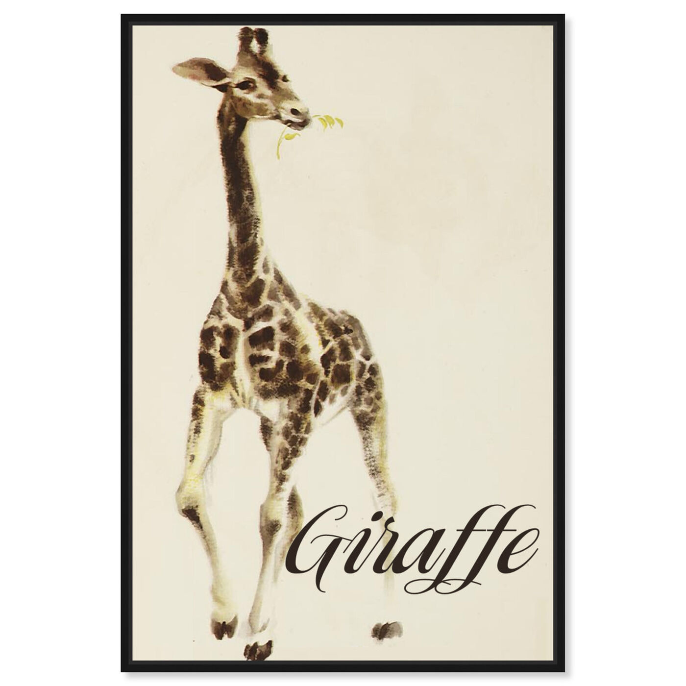Front view of Giraffe featuring animals and zoo and wild animals art.