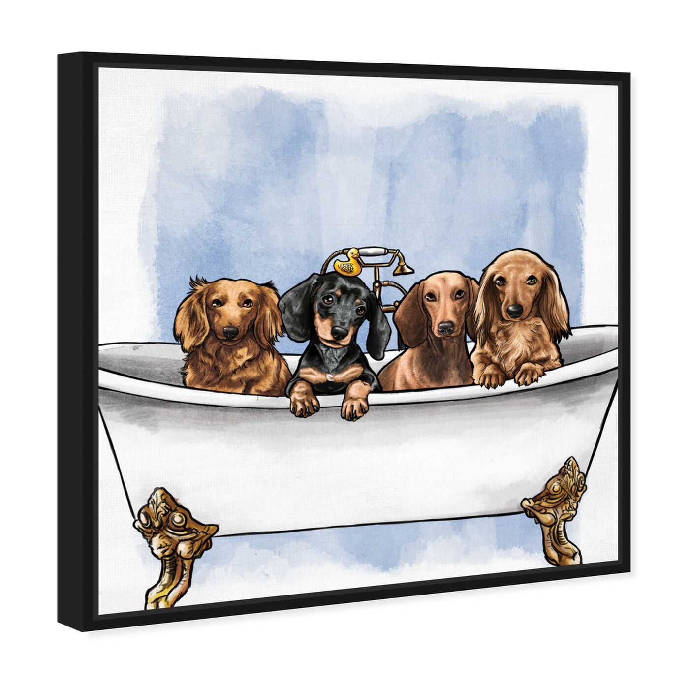 Angled view of Dachs in The Tub featuring animals and dogs and puppies art.