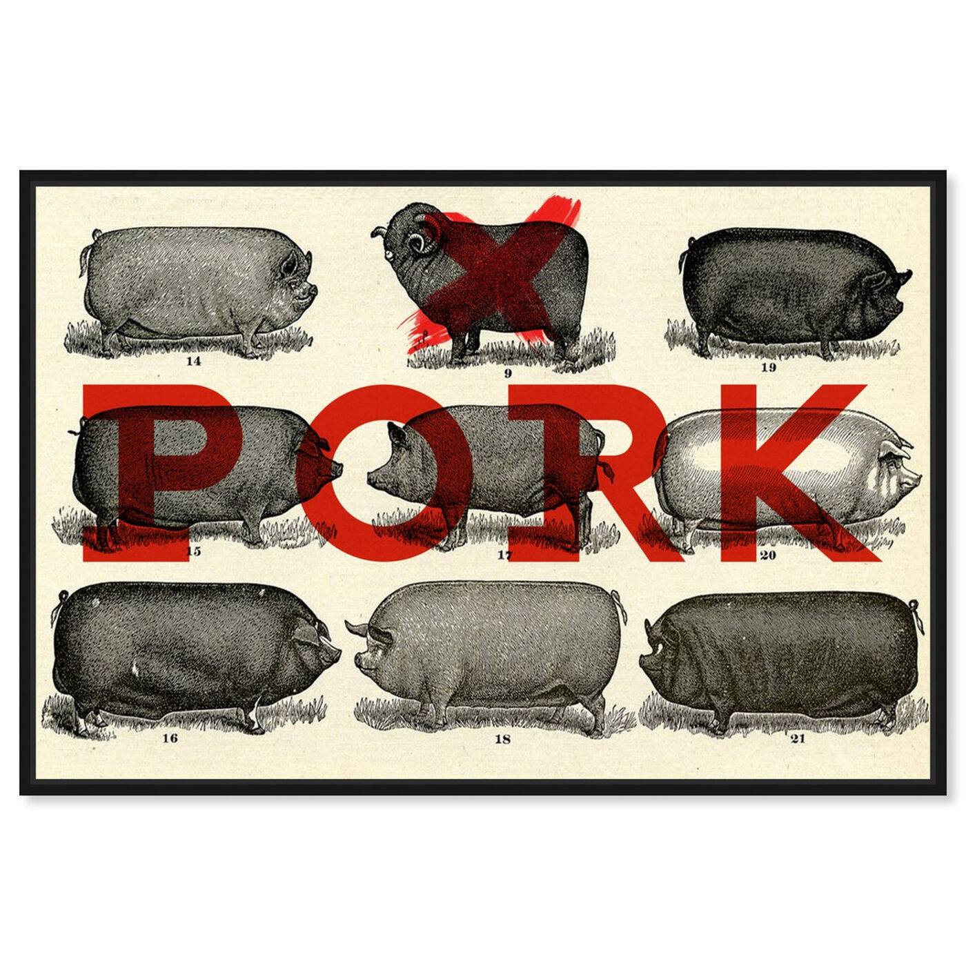 Front view of Pork featuring animals and farm animals art.
