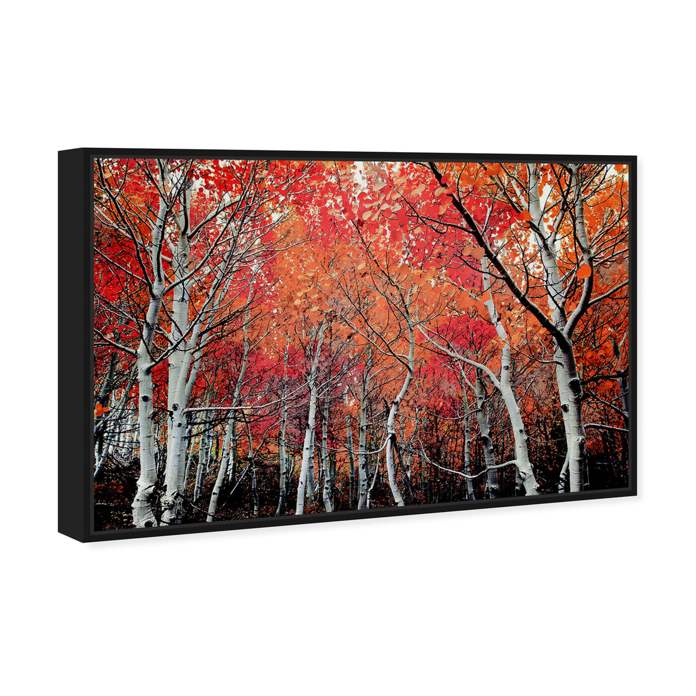 Angled view of Autumn Forest featuring nature and landscape and forest landscapes art.