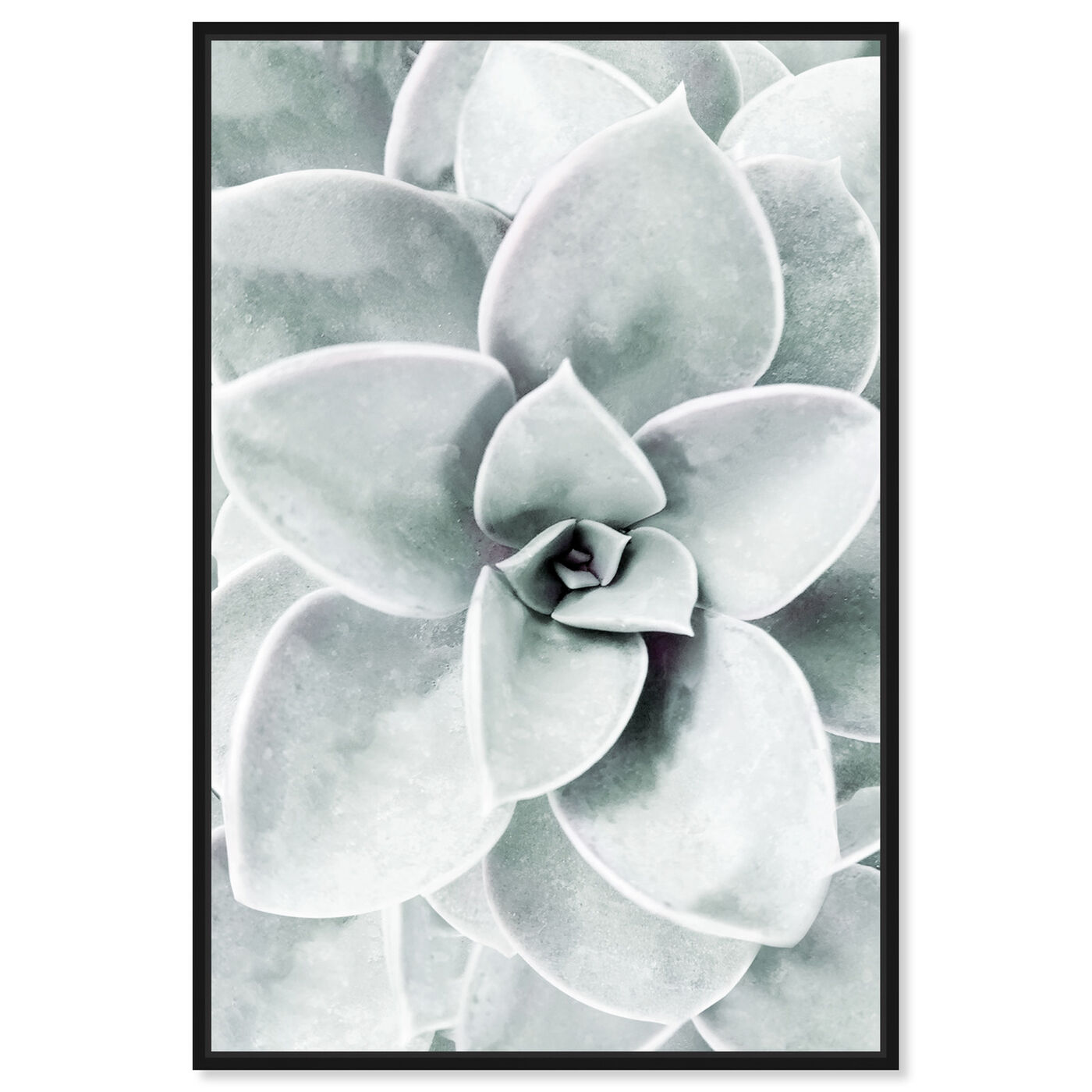 Front view of Succulent Zoom I featuring floral and botanical and botanicals art.