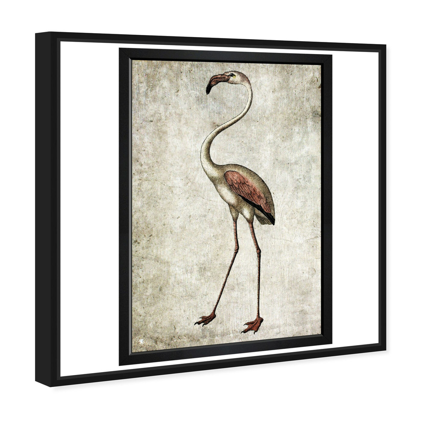 Angled view of Vintage Flamingo featuring animals and birds art.