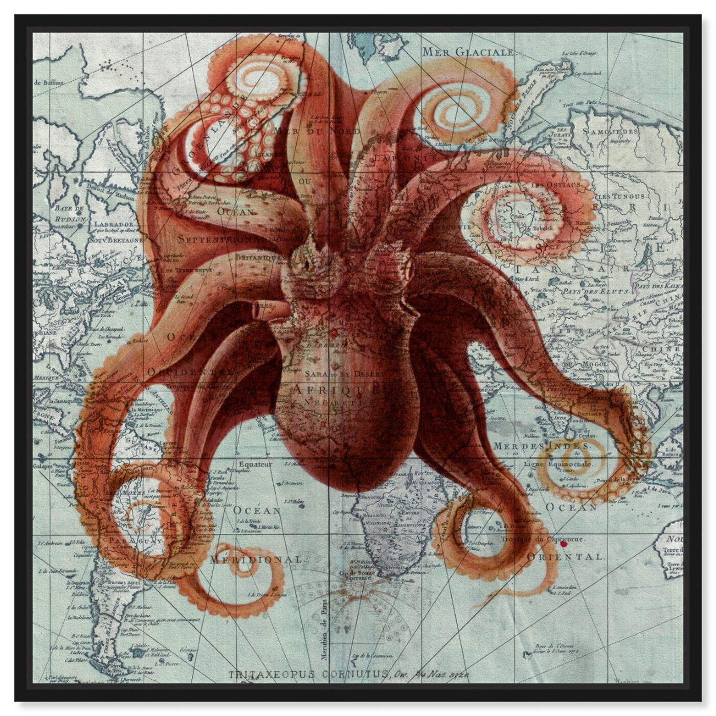 Front view of Octopus I featuring nautical and coastal and marine life art.