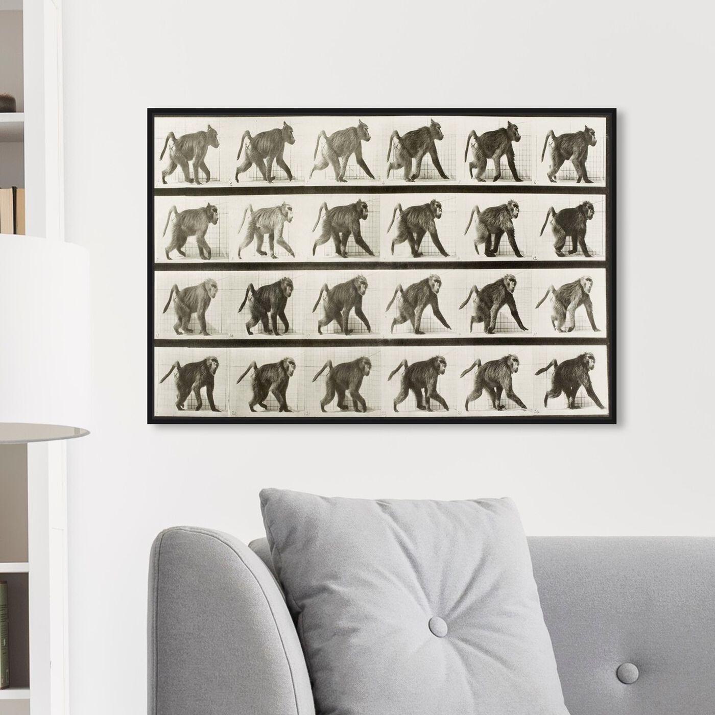 Hanging view of Baboon in Motion featuring animals and zoo and wild animals art.