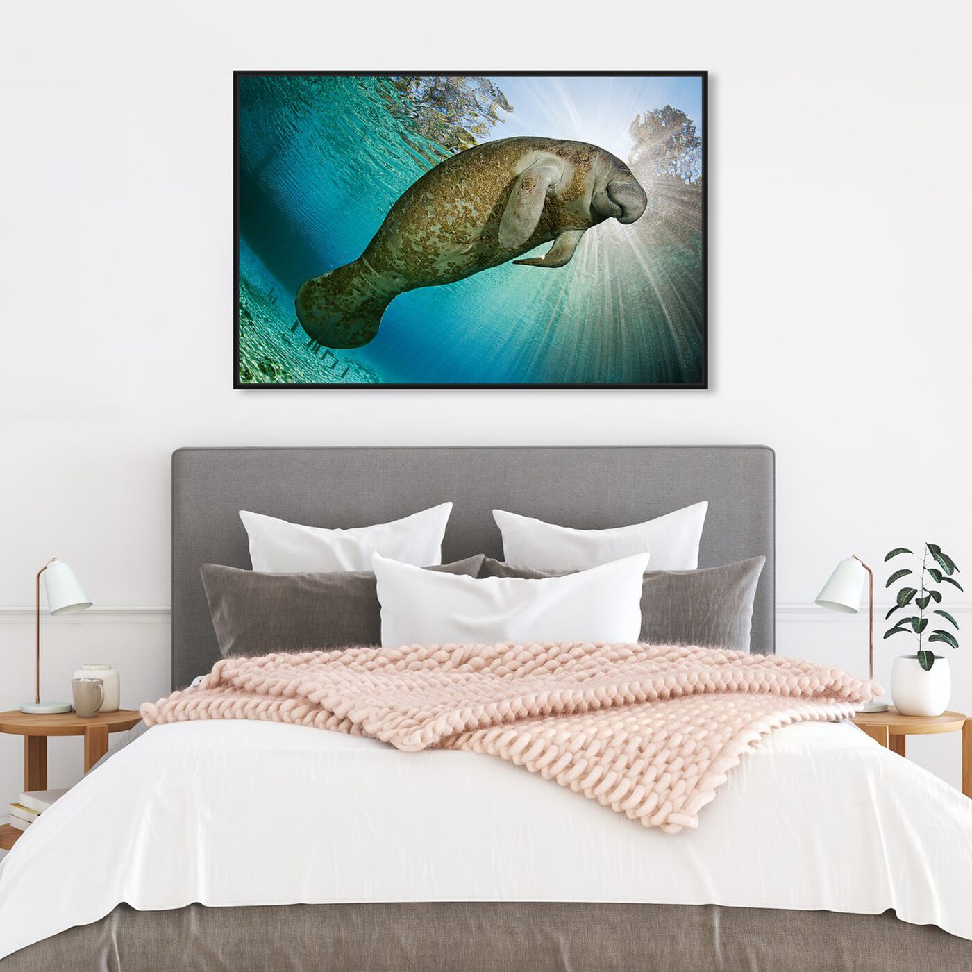 Hanging view of Manatee by David Fleetham featuring nautical and coastal and marine life art.